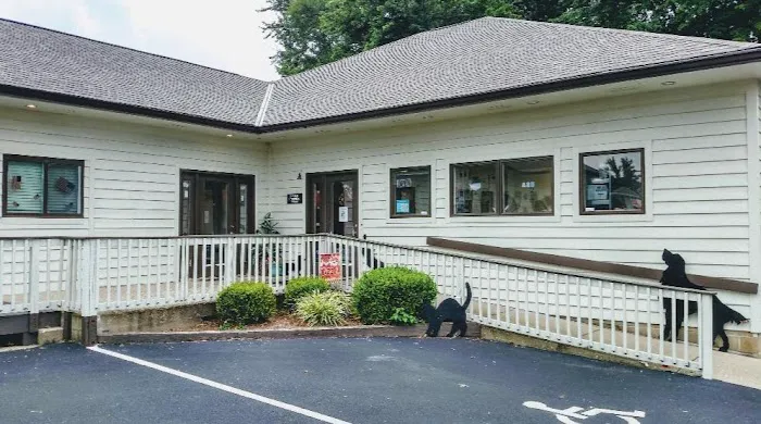 Withamsville Animal Hospital Picture 3