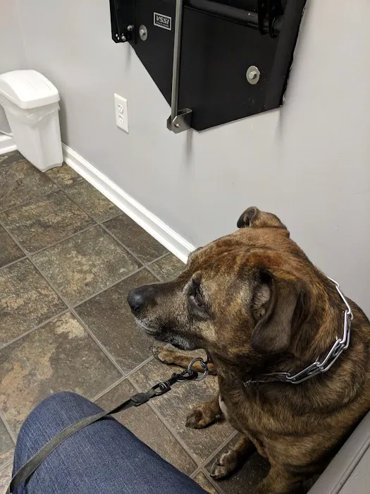 Withamsville Animal Hospital Picture 6
