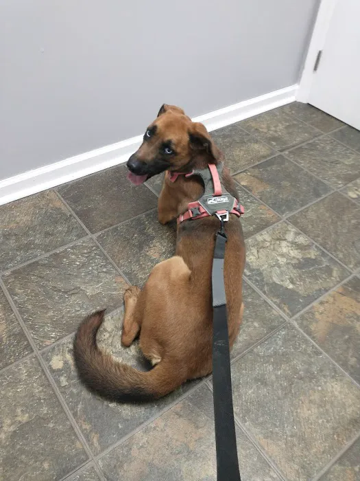Withamsville Animal Hospital Picture 9