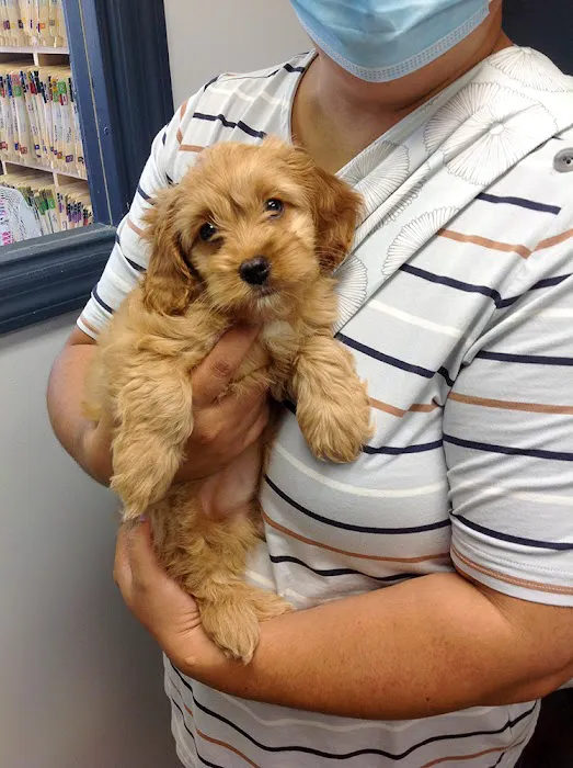 Companion Animal Medical Centre Picture 6