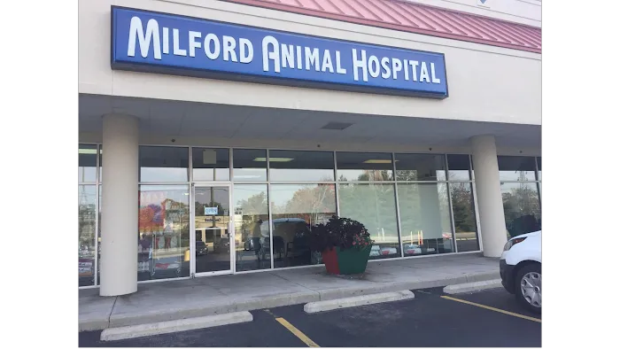 Milford Animal Hospital Picture 2