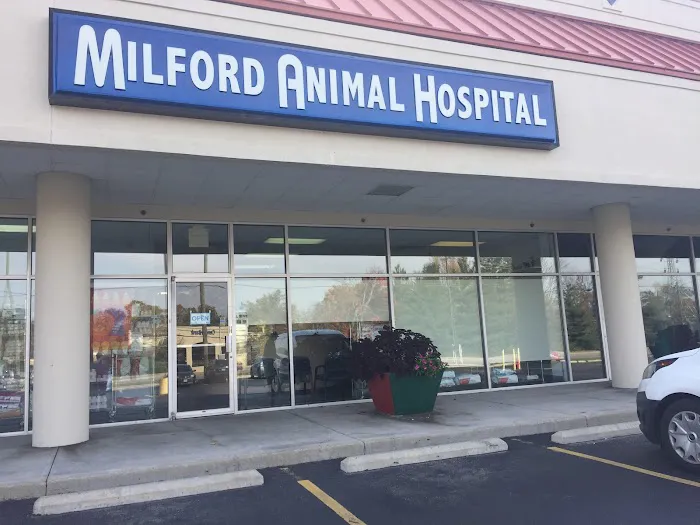 Milford Animal Hospital Picture 3