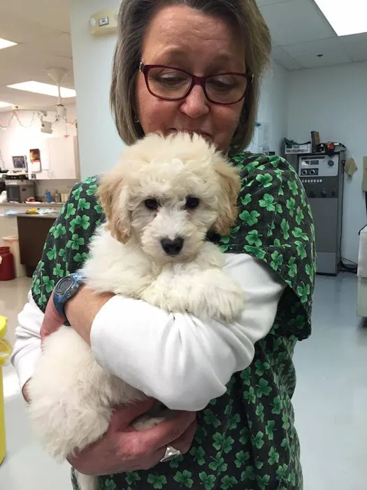 Milford Animal Hospital Picture 10