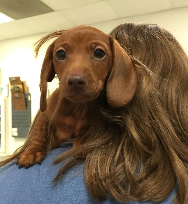 Milford Animal Hospital Picture 9
