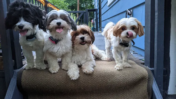 Milford Animal Hospital Picture 8