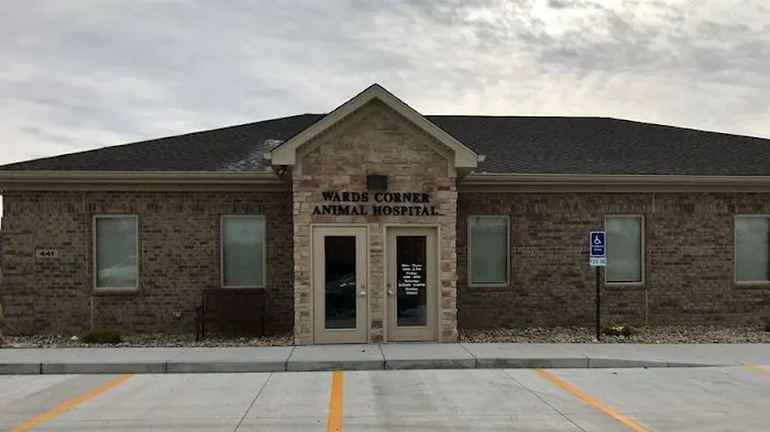 Wards Corner Animal Hospital Picture 1