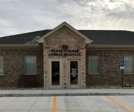 Wards Corner Animal Hospital