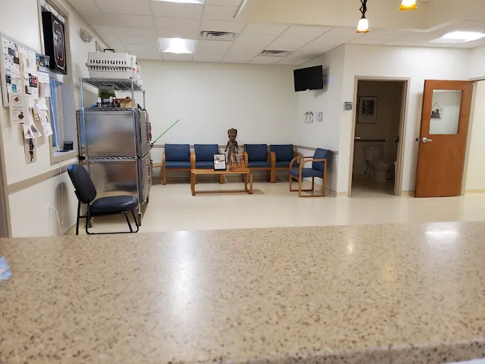 Wards Corner Animal Hospital Picture 7