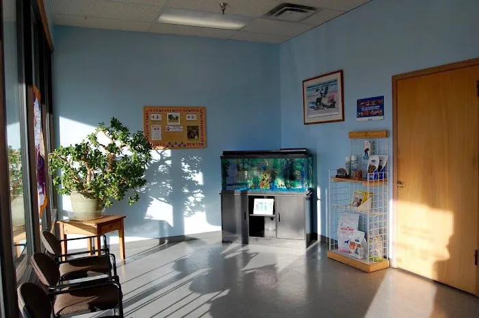 Gallardo Family Animal Hospital Picture 2