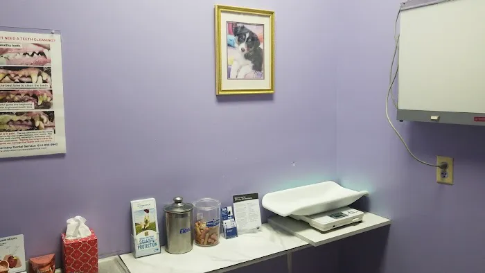 Gallardo Family Animal Hospital Picture 9