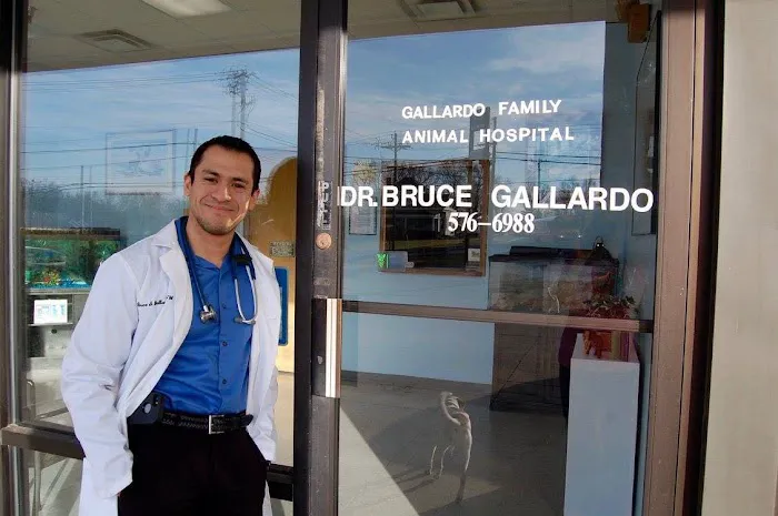 Gallardo Family Animal Hospital Picture 8