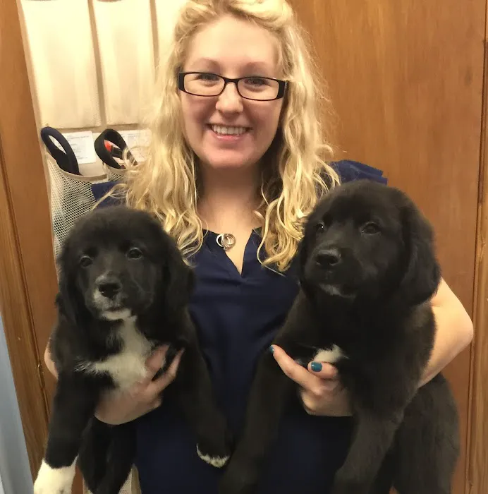 Gallardo Family Animal Hospital Picture 6