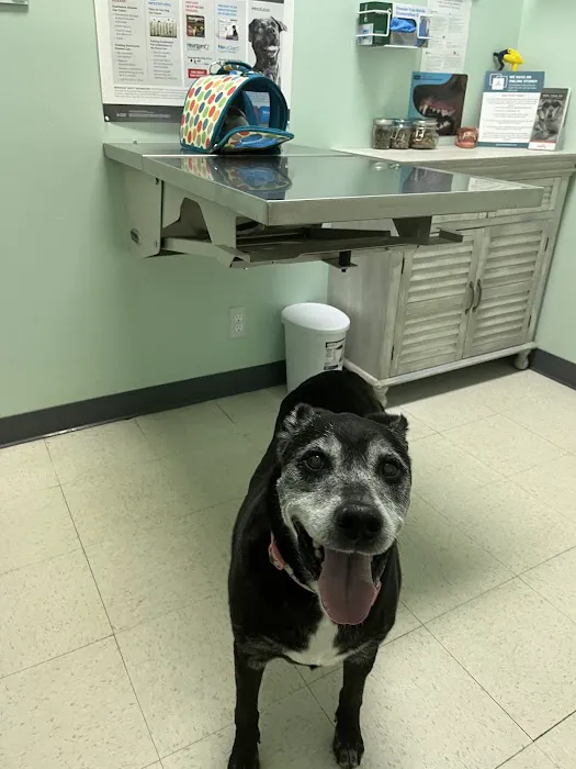 Gallardo Family Animal Hospital Picture 10