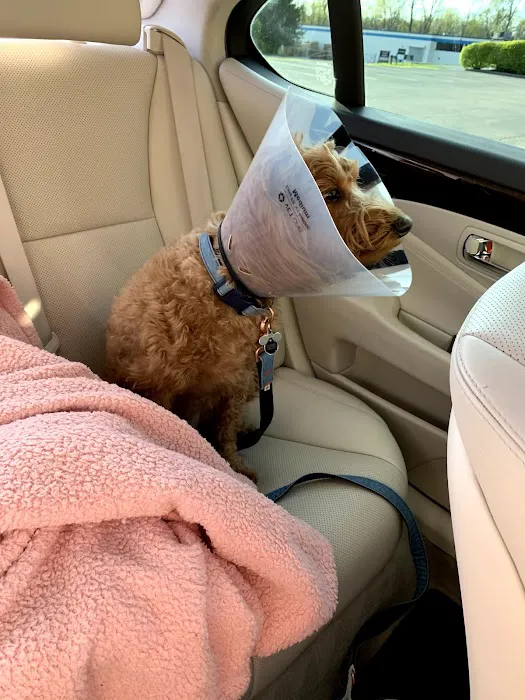 East Hills Veterinary Clinic Picture 4