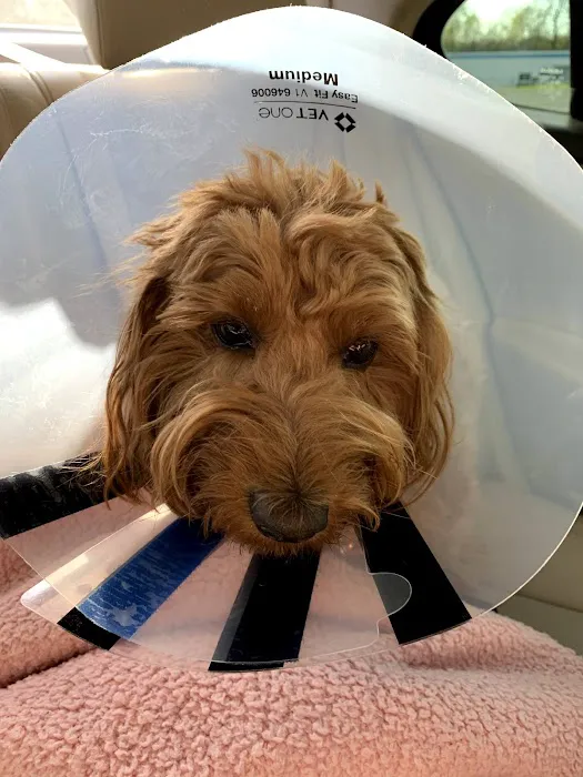East Hills Veterinary Clinic Picture 2