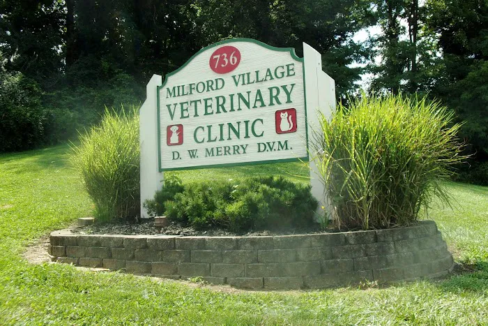 Milford Village Veterinary Clinic Picture 3