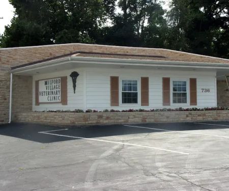 Milford Village Veterinary Clinic