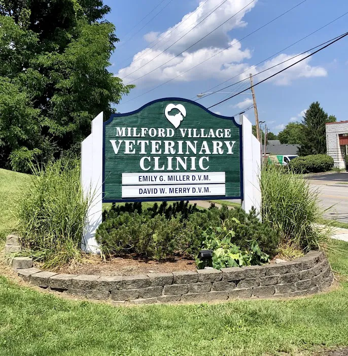Milford Village Veterinary Clinic Picture 8