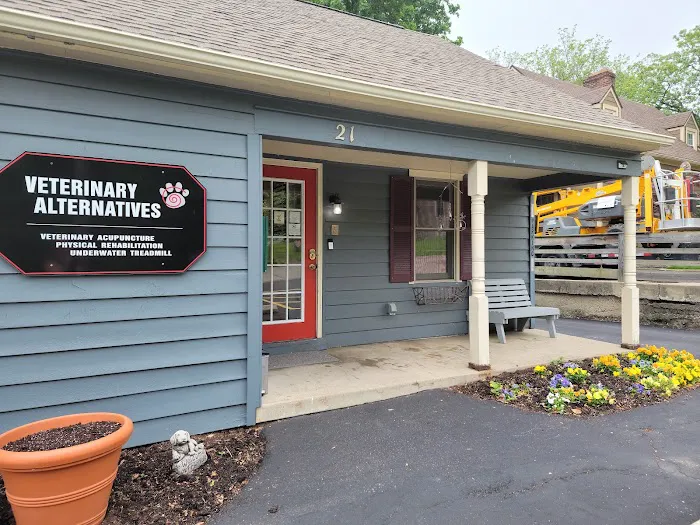 Veterinary Alternatives Centerville Picture 5