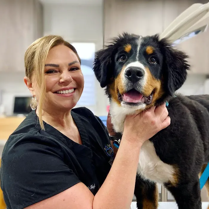 Springboro Veterinary Hospital and Urgent Care. Picture 10