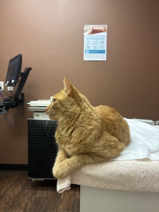Bigger Road Veterinary Center Picture 2