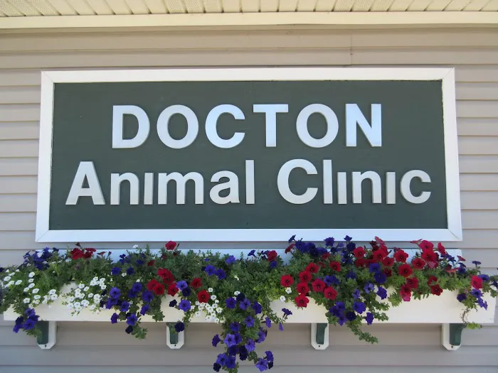 Docton Animal Clinic Picture 1