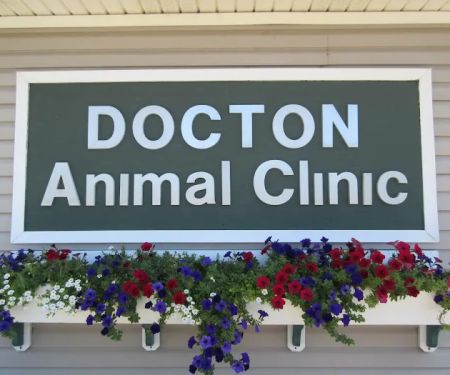 Docton Animal Clinic