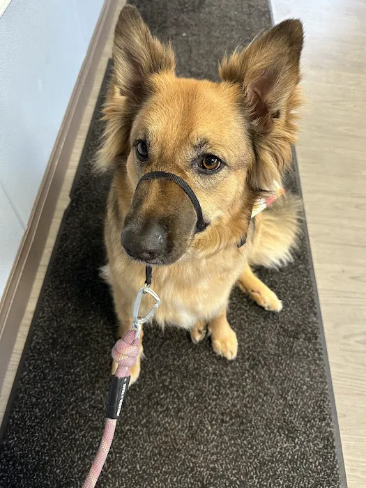 Docton Animal Clinic Picture 4