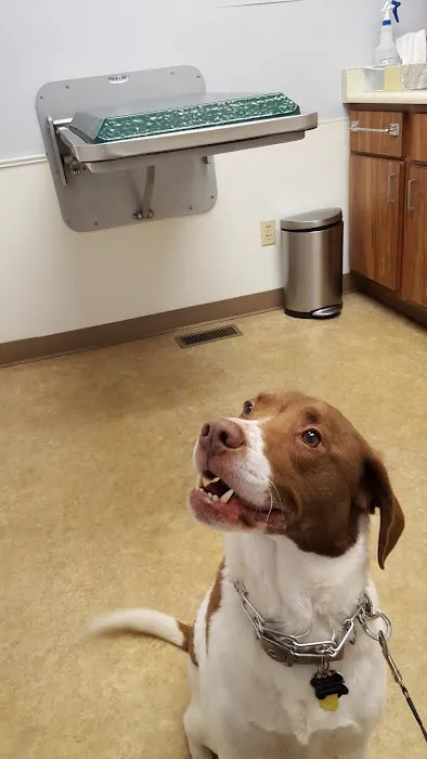 Docton Animal Clinic Picture 8