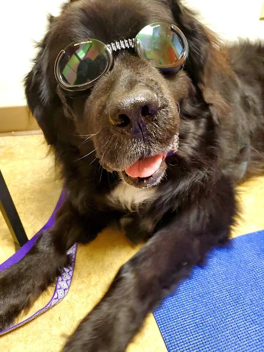 Docton Animal Clinic Picture 7