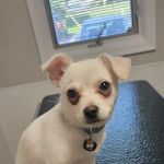 Docton Animal Clinic: Cathers Tama DVM