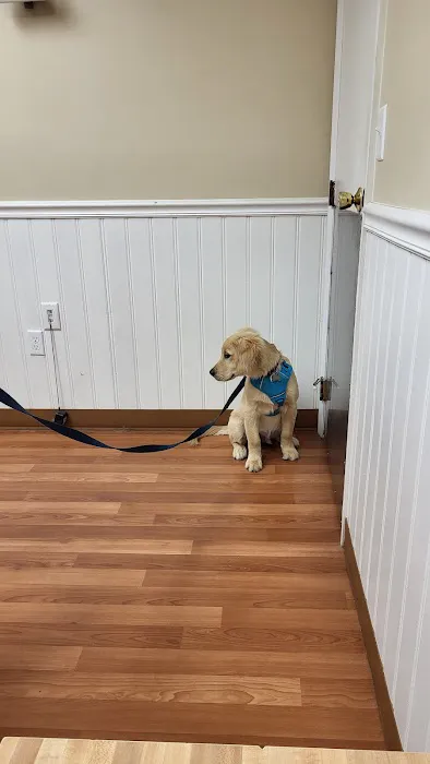 Alpha Veterinary Clinic Picture 1