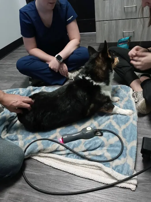 Veterinary Associates Animal Hospital Picture 4