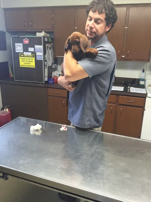 Veterinary Associates Animal Hospital Picture 10