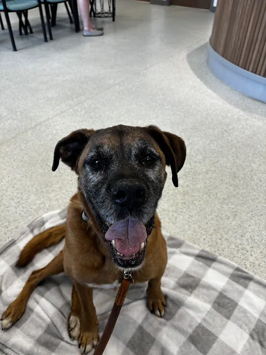 AcutePet Urgent Care Picture 8