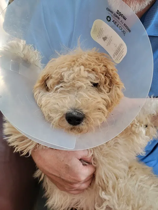 Banfield Pet Hospital Picture 2
