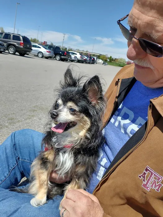 Banfield Pet Hospital Picture 4