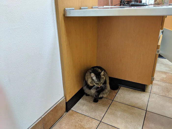 Banfield Pet Hospital Picture 8