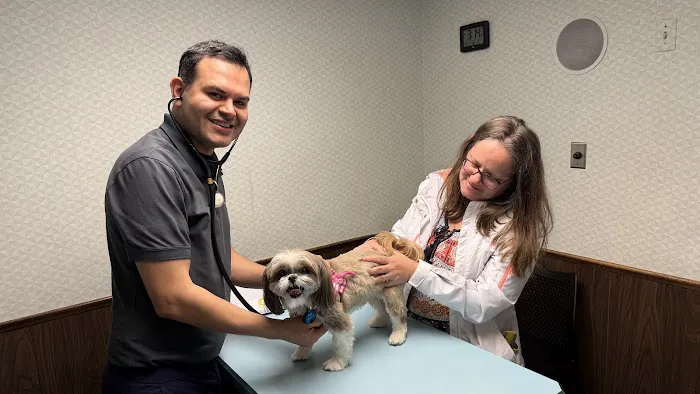 VCA Beavercreek Animal Hospital Picture 9
