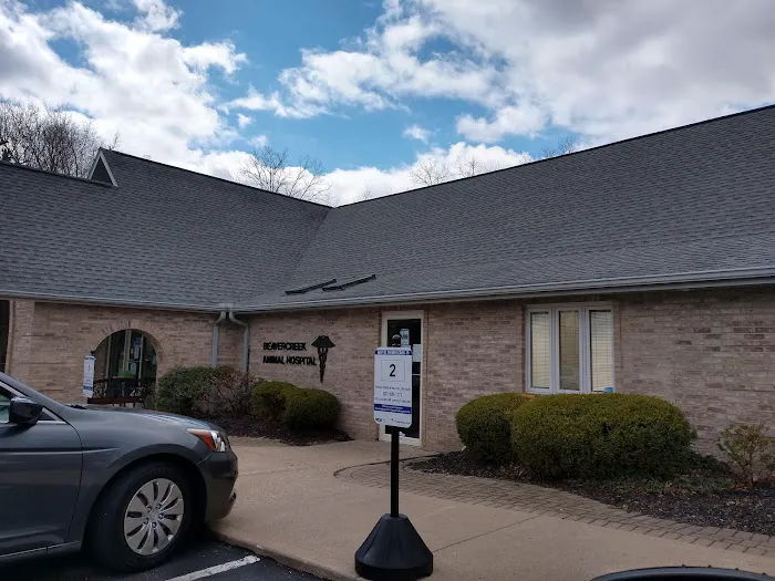 VCA Beavercreek Animal Hospital Picture 6