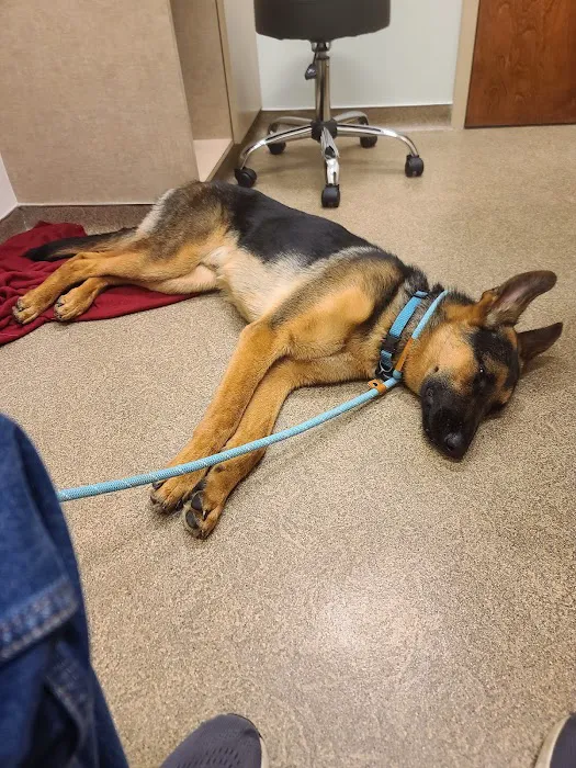 Lebanon Small Animal Clinic Picture 9