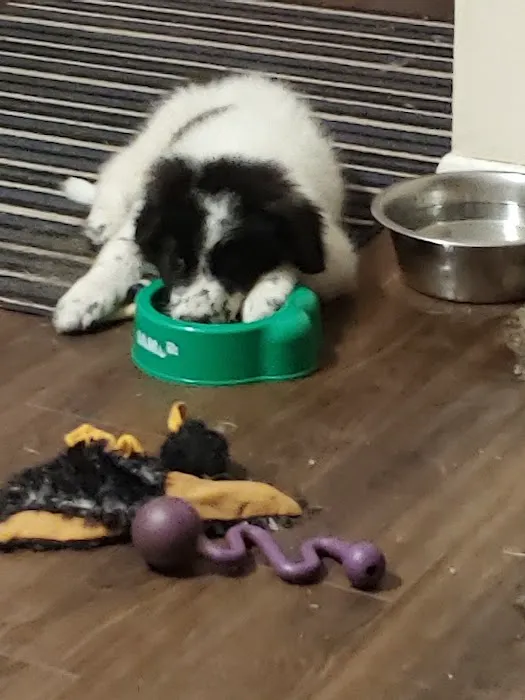 Countryside Animal Hospital Picture 9