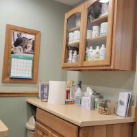 Custis Veterinary Hospital ico