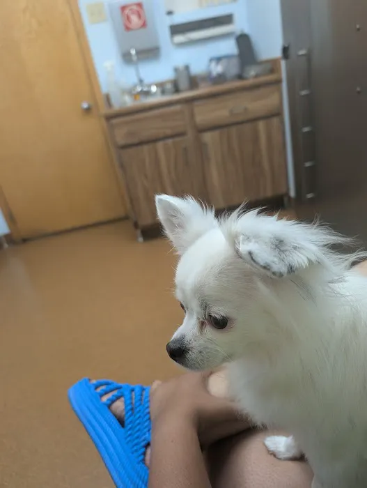 Fairborn Animal Hospital Picture 5