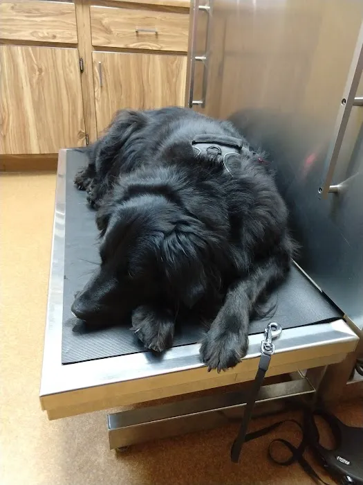 Fairborn Animal Hospital Picture 9