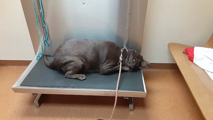 Fairborn Animal Hospital Picture 2