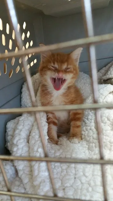 Fairborn Animal Hospital Picture 6