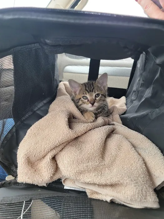 Banfield Pet Hospital Picture 7