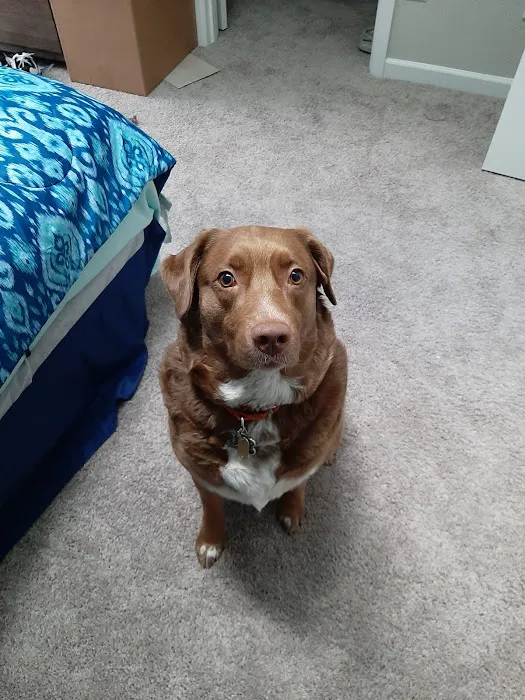 Banfield Pet Hospital Picture 4