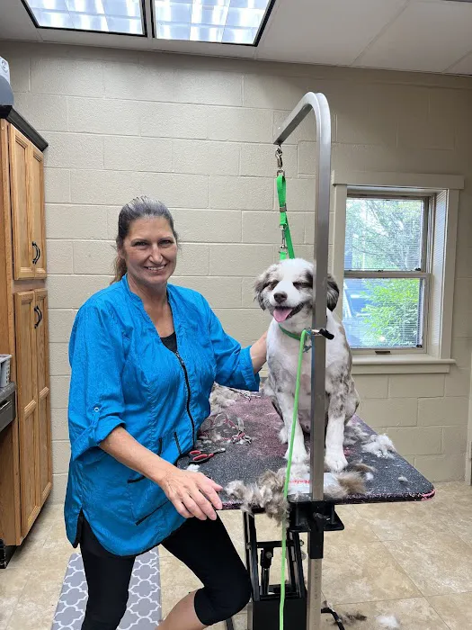 Alex-Bell Veterinary Clinic and Exclusively Posh Pets Picture 10